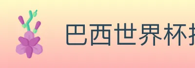 巴西世界杯投注官方网站 logo
